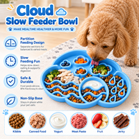 Tapis d'alimentation pour chien et chat en silicone en forme de nuage, personnalisable OEM ODM, avec bol amovible pour animaux de compagnie, set de table coloré pour animaux de compagnie