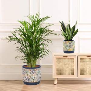 Pot de fleurs en céramique moderne de grand diamètre pour utilisation au sol, écologique et durable, idéal pour les arbres à argent, les Pothos et les Clivia - Product Image 5