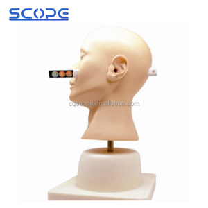 Modèle avancé de formation de Diagnostic d'oreille SC--LV41 de mannequin clinique de mannequin d'enseignement médical - Product Image 2