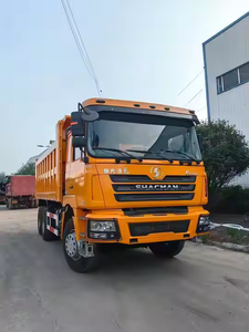 Camión Volquete Shacman F3000 8x4 / Camión de Carga Pesada con Motor Weichai, Camión Volquete Shacman de Doble Eje - Product Image 6