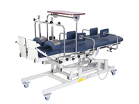 CY-C109A Cama Eléctrica de Tratamiento Físico, Mesa Inclinable con Ángulo de Inclinación de 84 Grados para Rehabilitación de Discapacitados, Gimnasio/Hotel/Sala de Estar