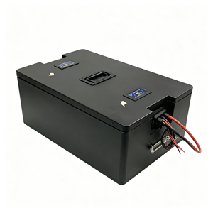 แบตเตอรี่ลิเธียม 24V 48V 100Ah 200Ah สำหรับหุ่นยนต์ตรวจสอบและลาดตระเวนโรงไฟฟ้า แบตเตอรี่อุตสาหกรรมแบบกำหนดเอง - Product Image 2