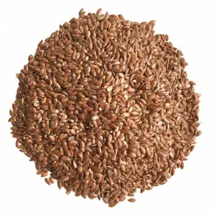Semi di olio non decorticati per tutti gli usi all'ingrosso semi di lino di lino marrone semi di lino