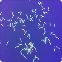 Papier de Sécurité Coloré avec Fibres Fluorescentes, Filigrane Anti-Contrefaçon et Ligne de Sécurité Imprimée pour Mesures de Sûreté (Épicerie)