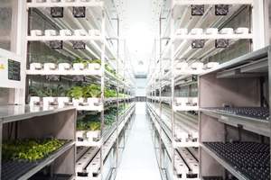 Sistema de Cultivo Hidropónico Inteligente para Contenedores de 20 pies, con Control Inteligente, Riego Aeropónico, Control Remoto por WiFi, Cultivo de Lechuga y Hojas Verdes - Product Image 2