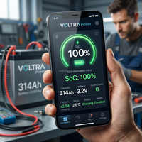 Batterie LiFePO4 3.2V 314Ah, cellules de qualité A, 1004.8Wh, système solaire hybride avec communication CAN