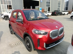 Mini Auto Elettrica SUV 3.5kw per Adulti, Guida a Destra, Nuova Energia, Qualità Migliorata - Product Image 6