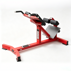 Panca Iperestensione Professionale per Allenamento Schiena, Glutei e Addominali per Palestre Commerciali - Product Image 1