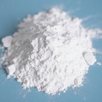 Hydroxyde de Calcium Blanc Haute Pureté en Poudre Chaux Hydratée Certifiée ISO9001 Marque HONGYU 200-1200 Mesh Fournisseur de Confiance