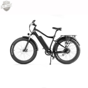 <span class=keywords><strong>ELYX</strong></span> ES019 2020 new 500W/750W 26 inch 80KM wholesale electric mountain bike electric bicycle wholesale bicycle tire - Product Image 4