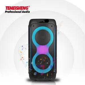 Temeheng双8英寸发光二极管灯低音扬声器可充电大喇叭TWS调频BT PMPO 1000W