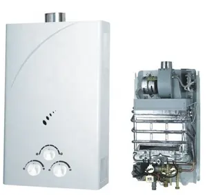 10L 12L 16L Domestic Central Instant Constant Temperature NG LPG Propane And Natural Gas Water Heater OEM ODM Brands