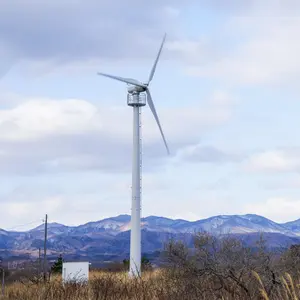 Éolienne 100KW 50KW 220V 380V Axe Horizontal Maglev Usine Générateur Haute Tension Super Hybride Contrôleur De Charge Pour La Maison