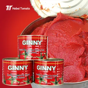 Concentrato di pomodoro di marca Ginny in brix 28-30% con salsa di pomodoro certificata ISO