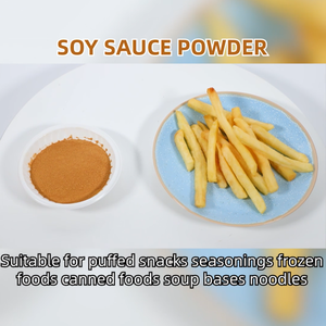 Haday Soya Sosu Tozu (C) 10kg Cips, Kraker ve Ekstrüde Atıştırmalıklar için Umami Lezzet Arttırıcı Baharat Sistemleri Baharat Tozu - Product Image 4