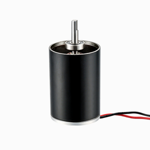 Brushed <strong>DC</strong> Motor High Precision Steel <strong>Casing</strong> Shock Resistance High Speed 5.71W for Boat Use 12V 3000 RPM - Product Image 6