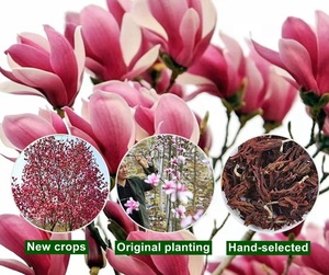 Flor de Magnolia Seca <span class=keywords><strong>YU</strong></span> LAN <span class=keywords><strong>HUA</strong></span>, Hierba China para Té - Product Image 3