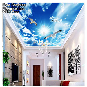 Plafond tendu <span class=keywords><strong>de</strong></span> <span class=keywords><strong>film</strong></span> <span class=keywords><strong>de</strong></span> plafond tendu d'impression UV ignifuge pour la décoration <span class=keywords><strong>de</strong></span> plafond <span class=keywords><strong>de</strong></span> toit - Product Image 1