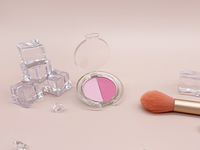 Meilleure vente fard à joues à poudre pressée 2 couleurs imperméable à l'eau pour un teint de peau clair crée un maquillage minéral naturel et sain pour le visage