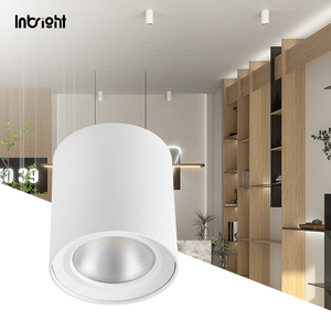 SAA Downlight LED montado en superficie Australia Dali Down Light 15W 30W 50W Foco comercial IP65 Spot Light - Product Image 6