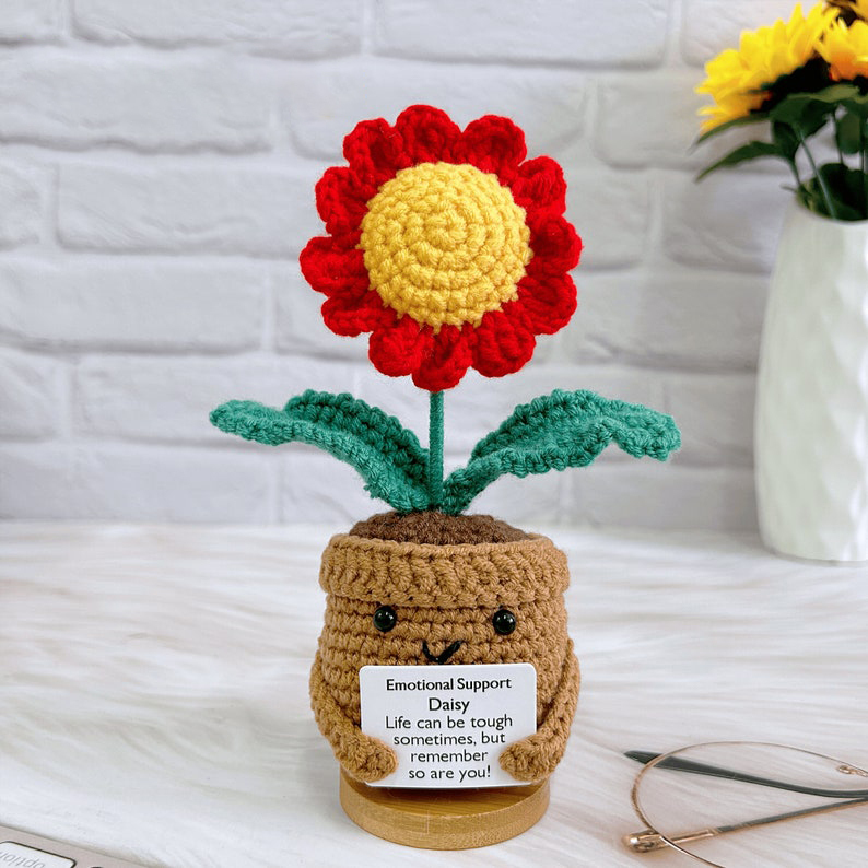 plante de marguerites rouges (sans base)