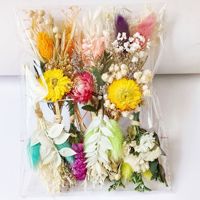 Boho Set Mini Bouquet de Fleurs Séchées Naturelles Fleurs Préservées pour la Table Décoration de Mariage Boîte aux Lettres Cadeaux