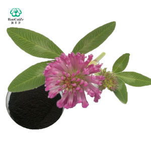 공장 공급 레드 클로버 추출물 분말 40% 이소플라본 1kg 최저가 무료 샘플 - Product Image 2