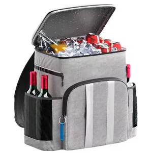 Custom Oxford Material 25L <b>Insulated</b> Water Resistant Minimalist All Seasons Multi-Functional Compartments Portable Outdoor Bag - Product Image 1