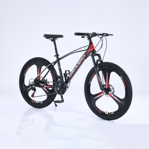 Vélo de montagne personnalisé de 26 <span class=keywords><strong>pouces</strong></span> avec frein à disque double, vitesse variable, vélo de cross-country pour hommes et femmes - Product Image 6