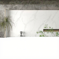 Dalle de marbre jet d'encre grand format Carreaux muraux en porcelaine pierre frittée numérique émaillée pour la décoration de la chambre Meilleur prix fournisseur