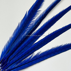 Plumas <span class=keywords><strong>de</strong></span> Faisán <span class=keywords><strong>de</strong></span> 60-65 cm <span class=keywords><strong>de</strong></span> Largo, Teñidas <span class=keywords><strong>de</strong></span> Azul Real, Plumas <span class=keywords><strong>de</strong></span> Cola <span class=keywords><strong>de</strong></span> Faisán Anillado, Plumas <span class=keywords><strong>de</strong></span> Faisán en <span class=keywords><strong>Venta</strong></span>, Disfraz <span class=keywords><strong>de</strong></span> Carnaval Sexy - Product Image 4