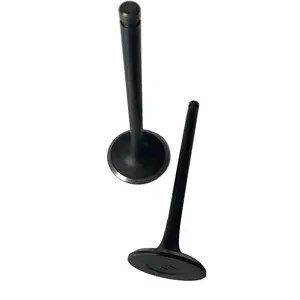 Manufacturers supply B3.3/QSB3.3 engine intake valve 6207414130/6207414210 6207414130/6207414210