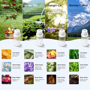 Mesin Semprot Minyak Esensial Aroma Diffuser <span class=keywords><strong>Nebulizer</strong></span> Berbahan Aluminium Alloy dengan Logo Kustom untuk Hadiah Perusahaan - Product Image 5