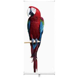 DiBanner Classic - Product Image 1