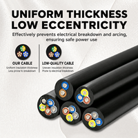 Cable Eléctrico Flexible de Cobre RVV 300/500V con Aislamiento de PVC y Revestimiento de PVC para Cableado de Control y Equipos