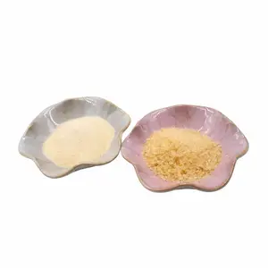 FOODMATE Softgel gelatina di mantella gelatina morbida granulare