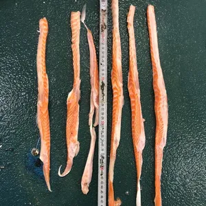 Bon marché Ventre <span class=keywords><strong>de</strong></span> <span class=keywords><strong>saumon</strong></span> Atlantic Salmom Belly Flaps Frozen Salmon Bely 1-3cm in Salmon - Product Image 1