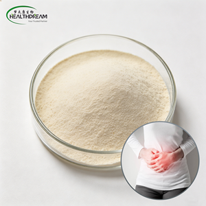 Lactobacillus Plantarum CCFM8610 (100 Mil Millones de UFC/g) en Polvo, Probiótico de Alta Potencia de Grado Alimenticio OEM Patentado <span class=keywords><strong>para</strong></span> el Alivio de la <span class=keywords><strong>Diarrea</strong></span> - Product Image 1