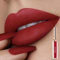 Rouge à lèvres liquide mat velours, imperméable, anti-transfert, hydratant, longue tenue, acide hyaluronique, 6 teintes, OEM ODM, marque privée