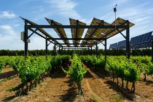 نظام تثبيت زراعي بالطاقة الشمسية مصنوع من سبائك الألومنيوم مزرعة بالطاقة الشمسية PV مع دعامة ضوئية للزراعة نظام تثبيت زراعة بالطاقة الشمسية