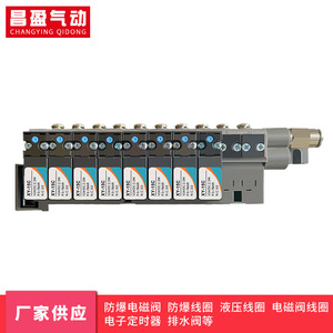 วาล์วโซลินอยด์ Changying Qidong รุ่น XY-15C 24VDC 2.2W วาล์วควบคุมลมสำหรับระบบลม - Product Image 1