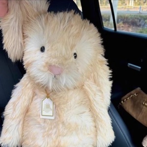 Exclusivo en el Reino Unido, Nuevo Producto de Primavera y Otoño, Peluche de Conejo Purin Bonnie, Juguete Antiestrés, Regalo de Cumpleaños para Edades de 8 a 13 Años - Product Image 3