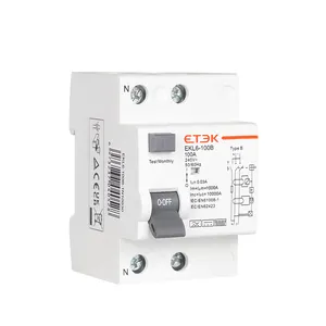 ETEK B Class RCCB 10KA 1P+N 100A 30mA Type B RCD with TUV Rheinland CB CE