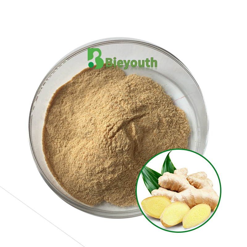 Manufacturer Factory Supply Hot Selling Ginger Root Extract Powder Ginger Extract