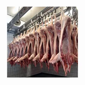 चीन कारखाने मांस प्रसंस्करण वधशाला सुअर कसाईखाना उपकरण संयंत्र शव फांसी संप्रेषित रेल हॉग कत्लेआम मशीन