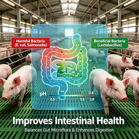 Compuesto Acidificante para Alimentación Animal, Líquido Orgánico Inorgánico Recubierto, para Cerdos, Aves de Corral y Acuicultura, Salud Intestinal, Libre de Antibióticos, FAMI-QS, HALAL