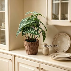 <span class=keywords><strong>Planta</strong></span> Artificial <span class=keywords><strong>de</strong></span> Caladium en Maceta <span class=keywords><strong>de</strong></span> Mimbre, Follaje Realista <span class=keywords><strong>de</strong></span> Alocasia, <span class=keywords><strong>Planta</strong></span> Artificial <span class=keywords><strong>de</strong></span> <span class=keywords><strong>Oreja</strong></span> <span class=keywords><strong>de</strong></span> <span class=keywords><strong>Elefante</strong></span> Tropical para Decoración del Hogar - Product Image 1