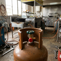 Robinet d'angle en laiton de haute qualité, performance d'étanchéité élevée, robinet à gaz V-5C pour utilisation industrielle par les fabricants de bouteilles de GPL