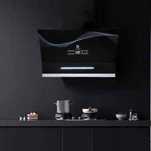 Professional Wall Mounted Smart Range Hood 60cm Extractor Hood With Convertible Stainless Steel Filter Control Kitchen Hood