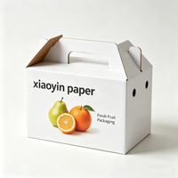 Boîte en carton portable avec poignée pour aliments, gâteaux, boissons, fruits et emballages à emporter avec fenêtre en PVC
